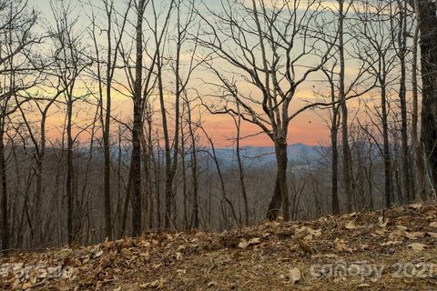 385 High Hickory Trail 50