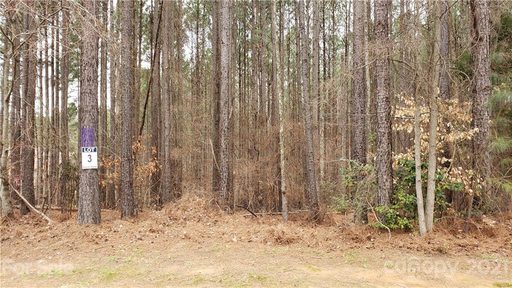 116 Frostcliff Lane LOT 3