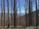1353 Daydream Ridge 57 sold home in Swannanoa, SC