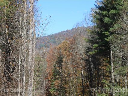 0 Carolina Keep Road Portion 1 sold lot in Carolina Keep, Green Mountain, NC