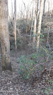 0 Winners Circle 11 sold home in Stones Throw, Tryon, NC