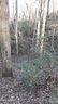 0 Winners Circle 11 sold home in Tryon, SC