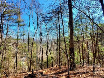 Lot 5 Big Hungry Road sold home in Terrapin Hollow, Flat Rock, NC