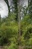 4039 Dinglewood Avenue sold home in Charlotte, SC
