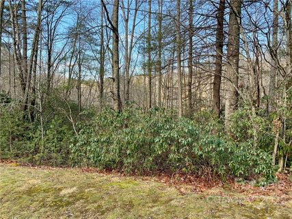 Tbd Chattooga Run 307
