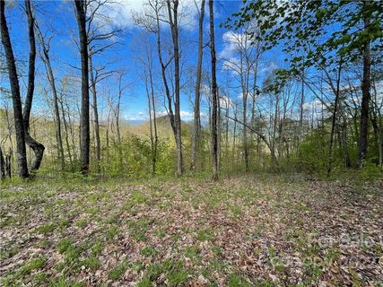 758 Fern Gap Road 154