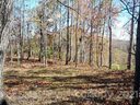 Lot C 11 28 Berry Lane C-11 sold home in Black Mountain, SC