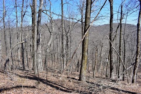 0 Trillium Court