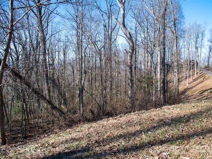 138 Old Forest Drive 7 sold lot in Pinchot Forest, Asheville, NC
