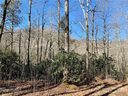 00 Golden Trout Drive 48 sold home in Spruce Pine, SC