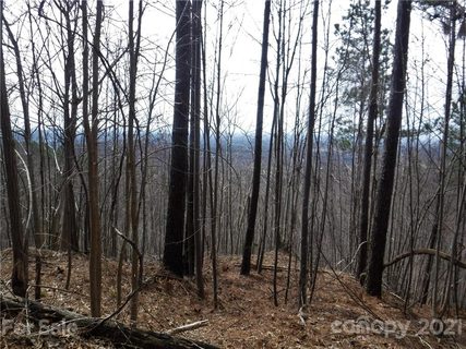 Lot 92 Big Rock Road