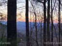 20 W Timberwolf Court 59 sold home in Asheville, SC