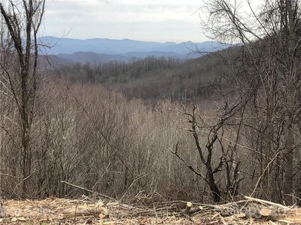 00 Turkey Trot Road sold home in Turkey Trot Farms, Clyde, NC