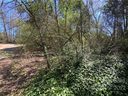 Across From 1717 Black Oak Lane sold home in Lincolnton, SC