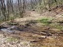 0000 Parris Branch Road sold home in Sylva, SC