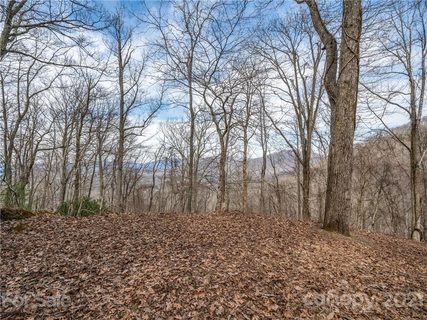 222 Grandiflora Path 7B sold lot in Rosy Hills, Asheville, NC