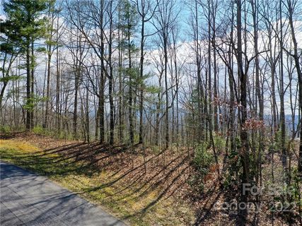 168 Rambling Trail sold home in Rambling Hills, Hendersonville, NC