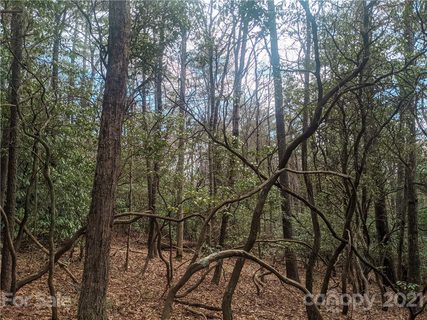 Tbd Wipprecht Drive 7 & 8 sold home in Humpback Mountain, Spruce Pine, NC