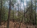 Tbd Wipprecht Drive 7 & 8 sold home in Spruce Pine, SC