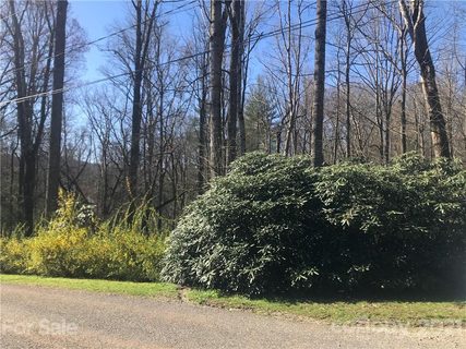 Lot 9 Barberry Circle sold lot in Barberry Heights, Brevard, NC