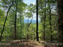226 Winterberry Drive 18 sold home in Marshall, SC