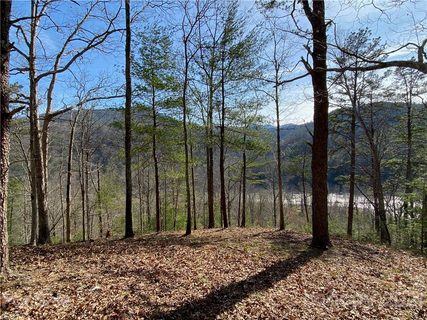 46 French Broad Parkway