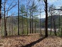 46 French Broad Parkway sold home in Marshall, SC