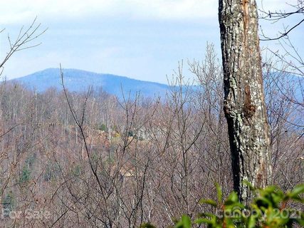 101 Bollers Knob Lane 96