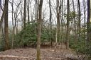 Tbd Skye Drive 854 sold home in Pisgah Forest, SC