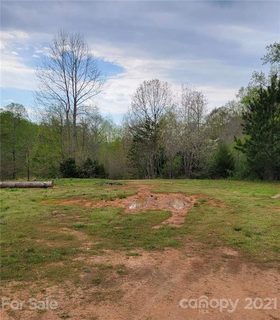 515 Coffeetree Lane