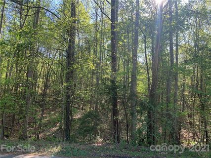 15 Glenola Drive sold lot in Wisackola Park, Waxhaw, NC