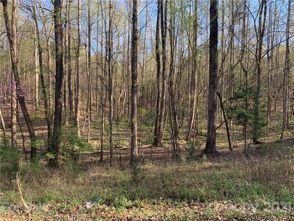 41 Eutaw Drive sold lot in Wisackola Park, Waxhaw, NC