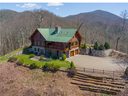 685 Talbot Drive sold home in Canton, SC