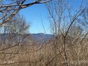 0 Lytle Cove Road Tract F sold home in Swannanoa, SC