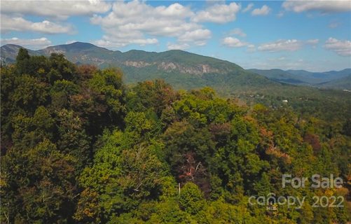 53 Bear Cliff Way
