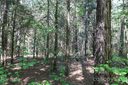 Lot 95 Waxhaw Creek Road #95 sold home in Waxhaw, SC