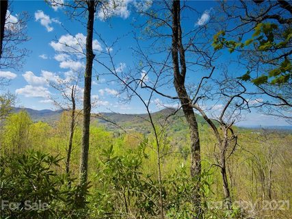 222 Secluded Hills Lane 40