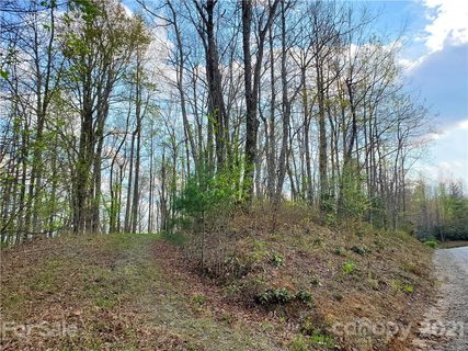 Corner Long Ridge Lane Eastatoe Gap Road Lot #11 sold lot in Eastatoe Gap, Rosman, NC