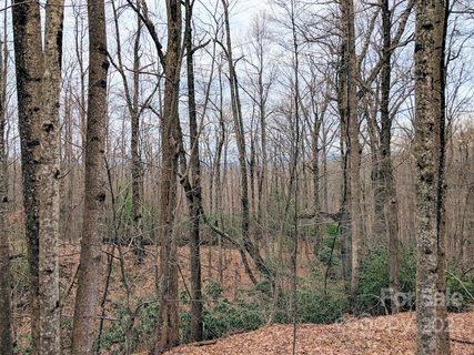 00 Melrose Mountain Road 508