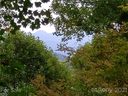 107 Cranberry Creek Road sold home in Maggie Valley, SC