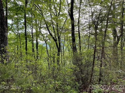 Lot 88 Bolt Road sold lot in Quail Ridge, Lake Lure, NC