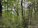 Lot 88 Bolt Road sold home in Lake Lure, SC