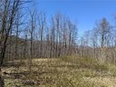 847 N Haven Drive T49 sold home in Black Mountain, SC