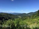 1781 Wilson Cove Road 10ABC sold home in Canton, SC