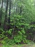 0 Melrose Mountain Road 513 sold home in Tryon, SC