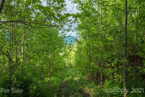 5 Jacobs Ladder Lane sold home in Sonrise, Swannanoa, NC