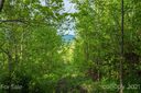 5 Jacobs Ladder Lane sold home in Swannanoa, SC
