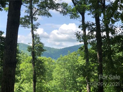 72 Smokey Ridge Trail 196
