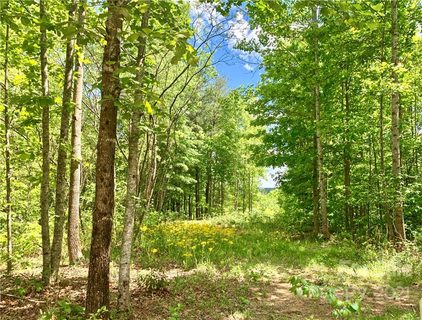 0 High Country Extension Lot 810