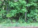 N A Briarwood Circle sold home in Fort Mill, SC